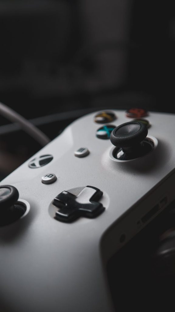 pexels photo 17307282.jpeg